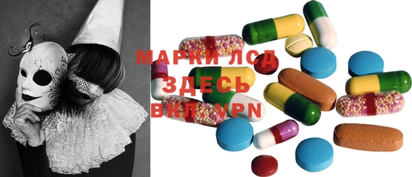 индика Бронницы