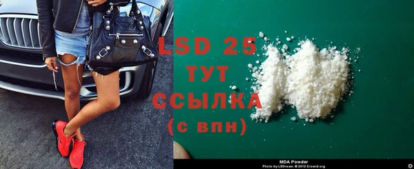 прущие грибы Бугульма