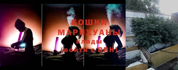 индика Бронницы