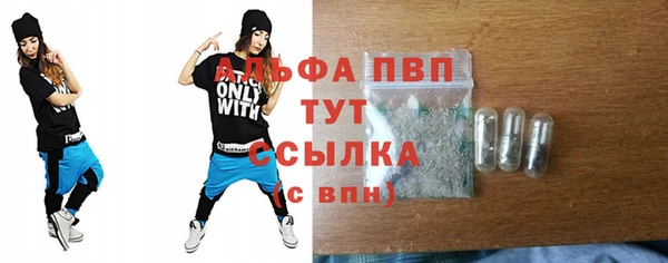 прущие грибы Бугульма