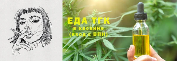 индика Бронницы