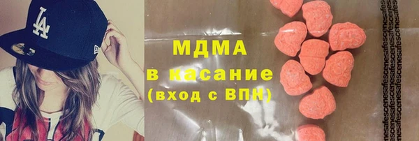 индика Бронницы