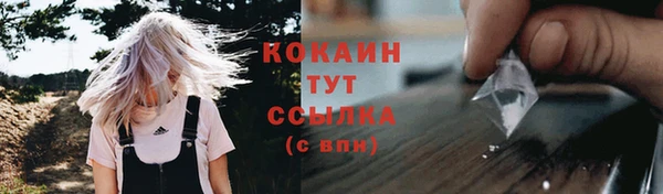 прущие грибы Бугульма