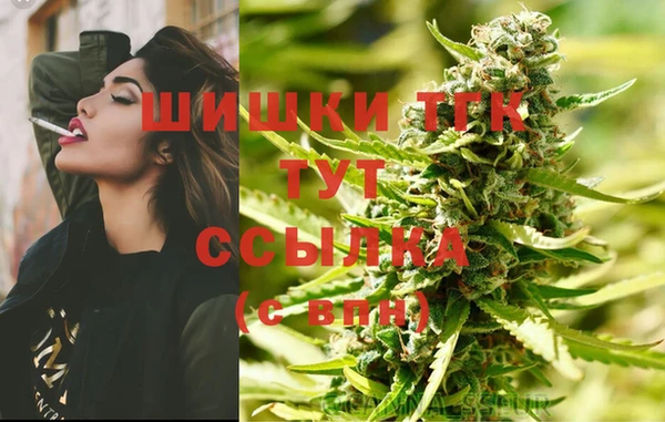 индика Бронницы