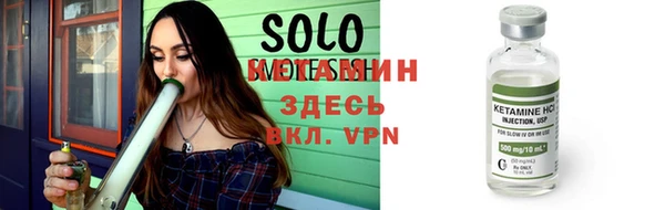 индика Богданович
