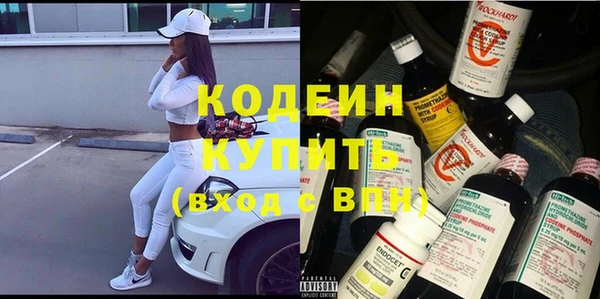 индика Бронницы
