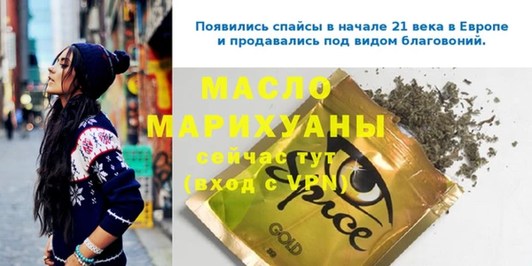 индика Бронницы