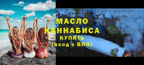 индика Бронницы