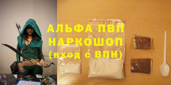 индика Бронницы
