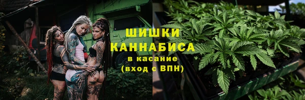 прущие грибы Бугульма