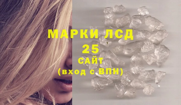 прущие грибы Бугульма