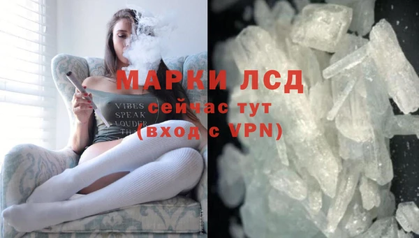 индика Бронницы