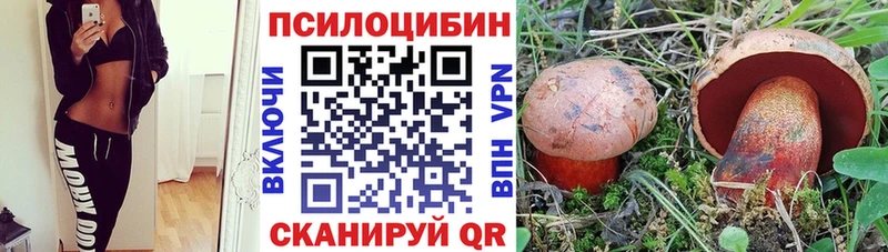 Галлюциногенные грибы Magic Shrooms  купить наркотики сайты  Козельск 